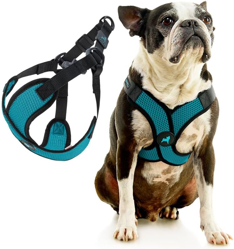 Gooby Comfort X Step-in Lite Harness, Choke-Free - Image 3