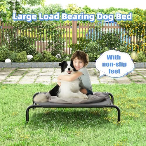 Simple Trending Raised Dog Bed for Small Dogs, Elevated Dog Cot - Image 3