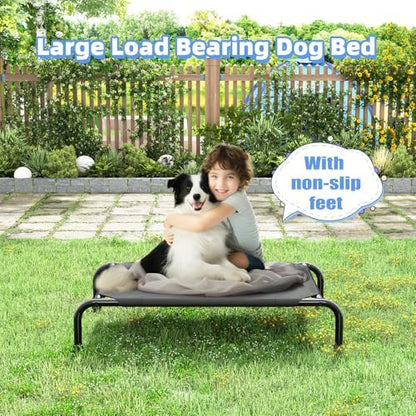 Simple Trending Raised Dog Bed for Small Dogs, Elevated Dog Cot - Image 3