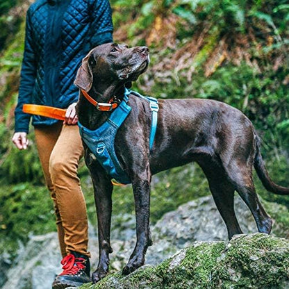 Kurgo Journey Air Dog Harness, Extra Large - Image 2