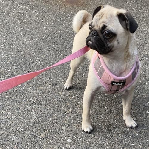 PUPTECK Small Dog Harness and Leash Set No Pull - Image 6