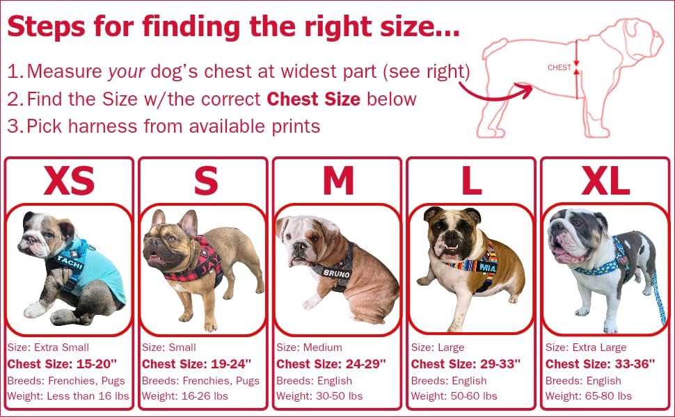 BULLHUG Adjustable Dog Harness– No Pull, No Choke – - Image 4