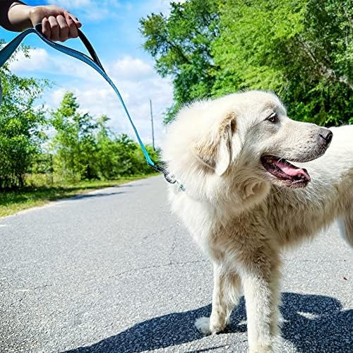 Joytale Dog Leash for Large Dogs that Pull, Double Handle, Aqua Blue - Image 4