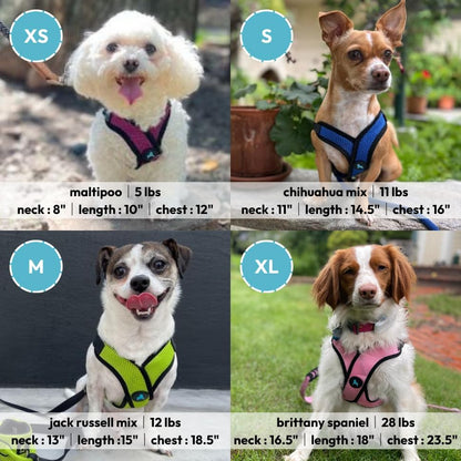 Gooby Comfort X Step-in Lite Harness, Choke-Free - Image 5