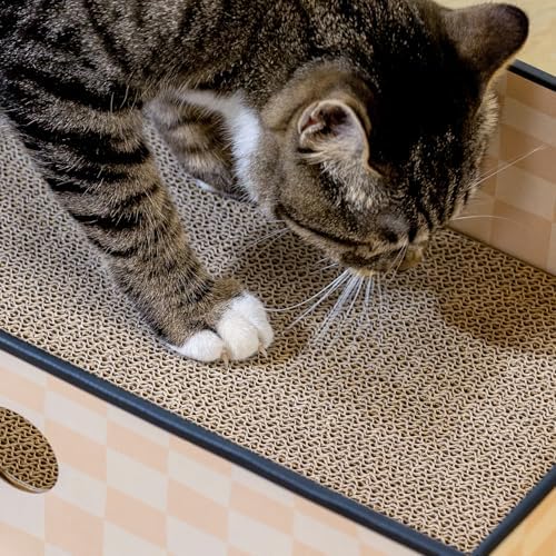 Conlun Cat Scratcher Box, Cardboard Pad, Bed - Image 5