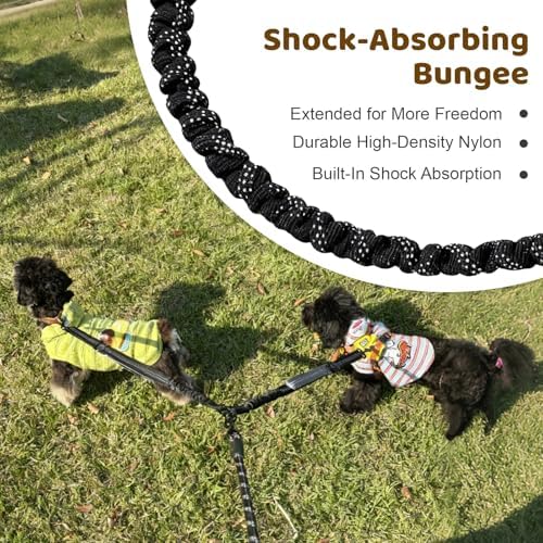 Double Dog Leash - Image 5