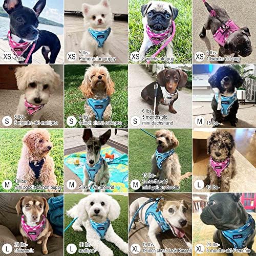 haapaw Dog Harness with Leash Set, No Pull Adjustable Reflective Step-in Puppy - Image 6