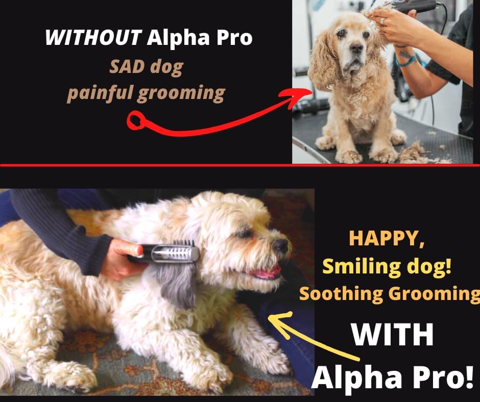 MISTIC COOL Alpha Pro Dog Trimmer - Image 3