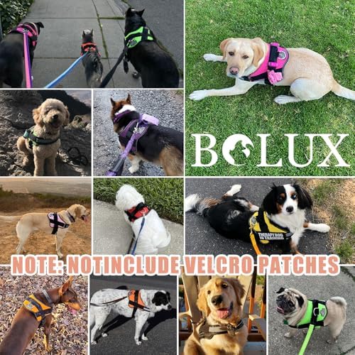 Bolux Dog Harness, No-Pull Reflective Dog Vest, Breathable Adjustable Pet - Image 7