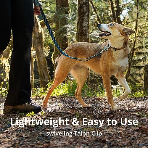 Ruffwear, Roamer Bungee Dog Leash - Image 5