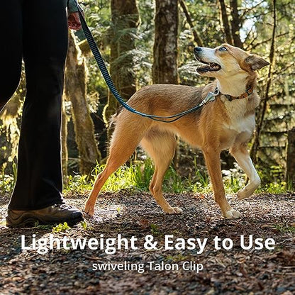 Ruffwear, Roamer Bungee Dog Leash - Image 5