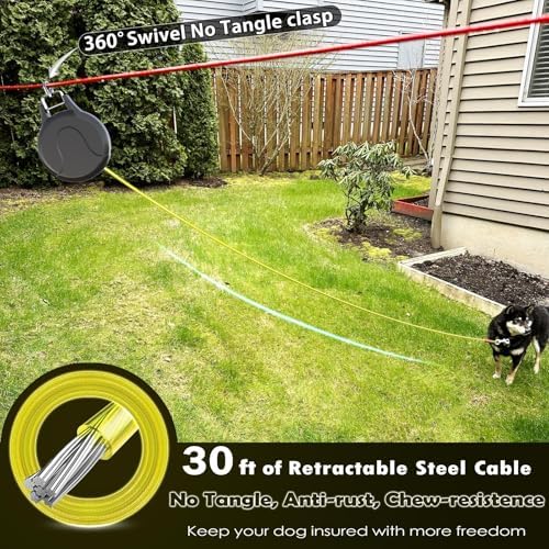 30ft Retractable Dog Leash, 2-in-1 Retractable Dog Lead - Image 3