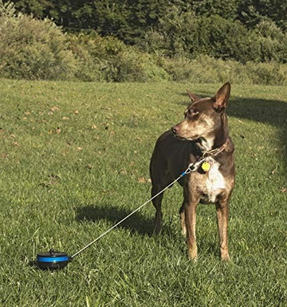 Lixit Bracket Mount and Stake Retractable Leash Tie Outs - Image 2