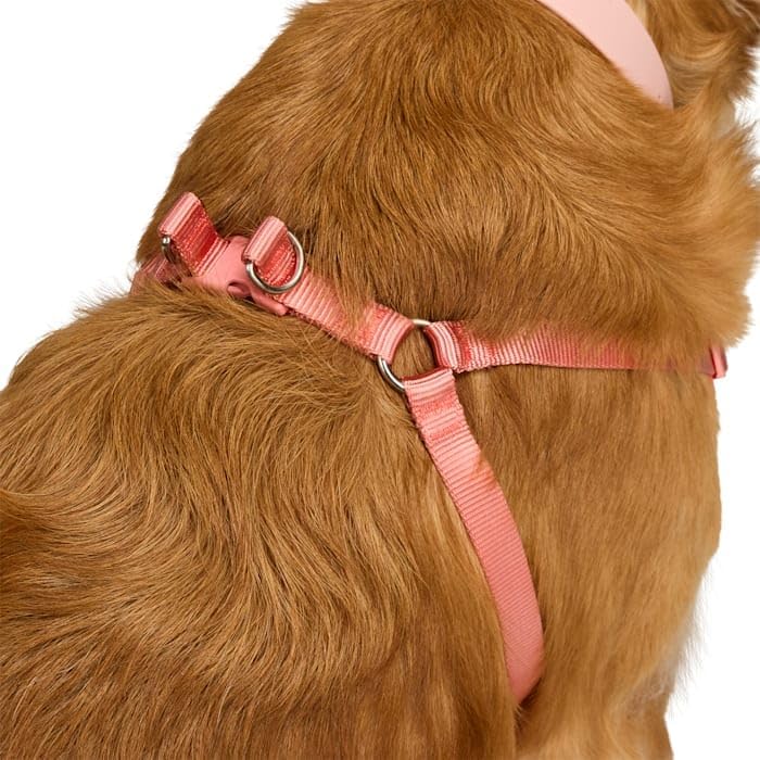 EveryYay by Petco Step in Dog Harness Pink Medium - Image 3