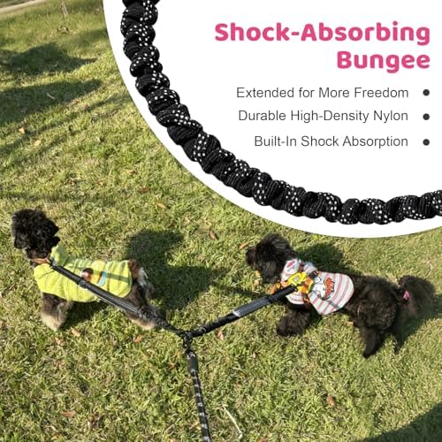Double Dog Leash - Image 6