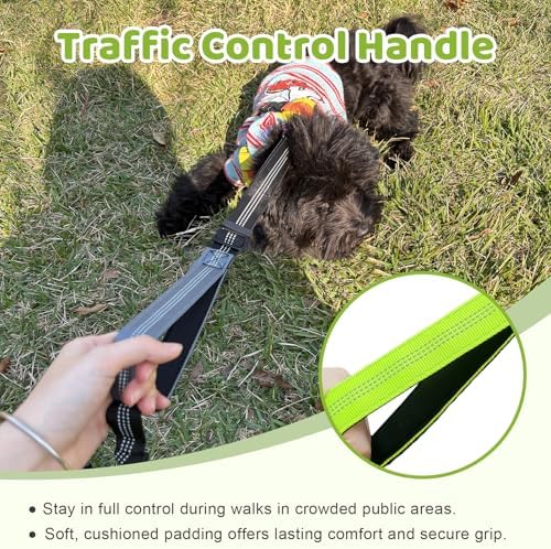 Double Dog Leash - Image 5