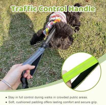 Double Dog Leash - Image 5