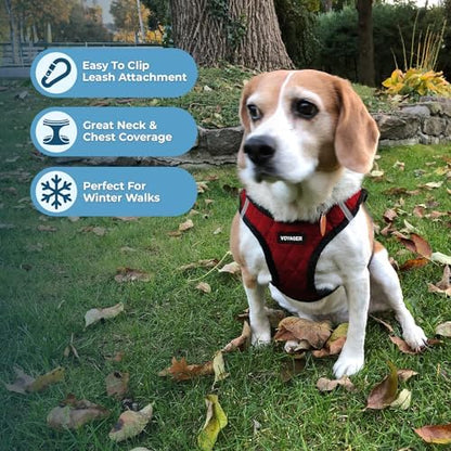 Best Pet Supplies - Image 5