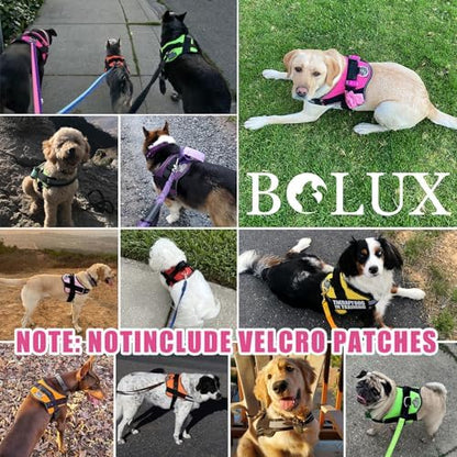 Bolux Dog Harness, No-Pull Reflective Dog Vest, Breathable Adjustable Pet - Image 6
