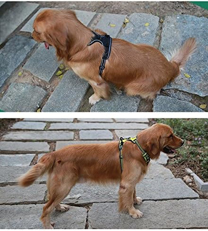 JUXZH Truelove No Pull Dog Harness - Image 5