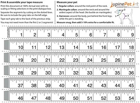 LupinePet Basics 1" Pink 24-38" Step In Harness - Image 3
