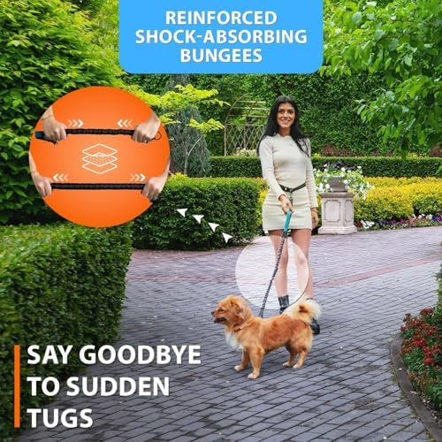 SparklyPets Hands Free Dog Leash, Small Breeds - Image 3