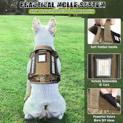 Tactical Service Dog Vest and Leash Set - Image 3