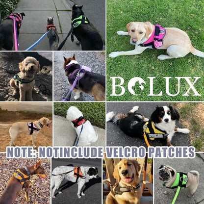 Bolux Dog Harness, No-Pull Reflective Dog Vest, Breathable Adjustable Pet - Image 7
