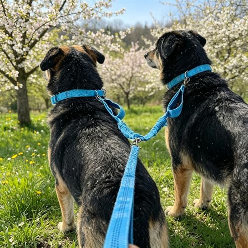 Dual Dog Leash Coupler, Double Control Padded Handles - Image 4