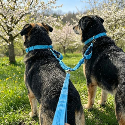 Dual Dog Leash Coupler, Double Control Padded Handles - Image 4