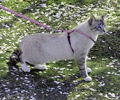 PetSafe Come with Me Kitty Harness and Bungee Cat Leash, Dusty Rose - Image 2