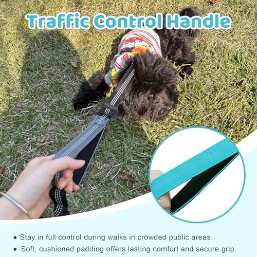 Double Dog Leash - Image 5