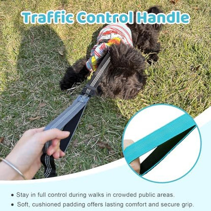 Double Dog Leash - Image 5
