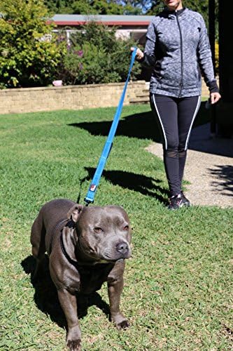 Primal Pet Gear Dog Leash 6ft Long, Traffic Padded Two Handle, Heavy Duty - Image 3