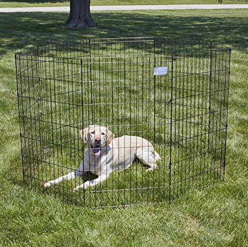 MidWest 42-Inch Exercise Pen, No Door, 16 Sq Ft Play Area - Image 2