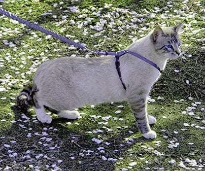 PetSafe Come With Me Kitty Harness and Bungee Cat Leash, LILAC/BRIGHT PURPLE - Image 2