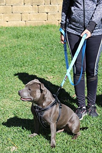 Primal Pet Gear Dog Leash 6ft Long, Traffic Padded Two Handle, Heavy Duty - Image 4