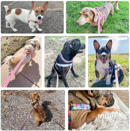 BEAUTYZOO No Pull Dog Harness and Leash Set - Image 4