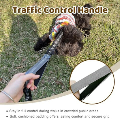 Double Dog Leash - Image 4