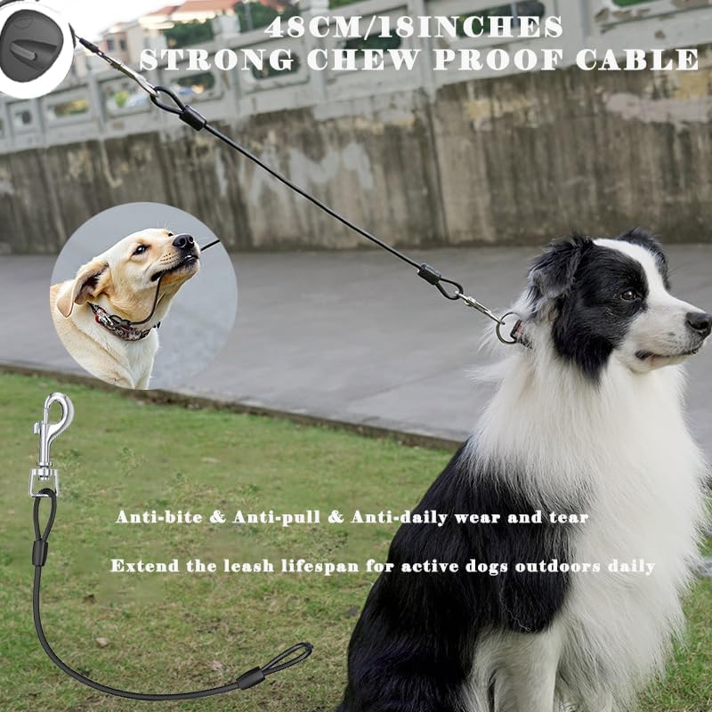 16 ft Retractable Dog Leash - Image 5