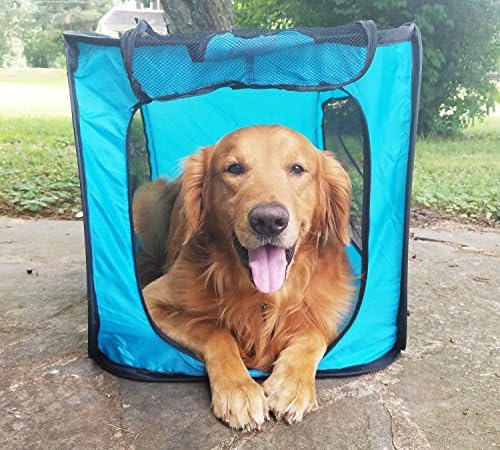 Pop Open Collapsible Travel Crate in 2 Sizes by BarkBrite