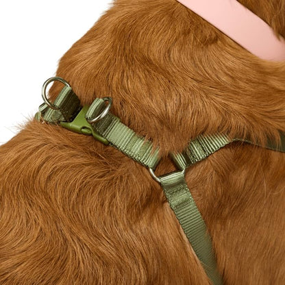 EveryYay by Petco Step in Dog Harness Olive Small - Image 5