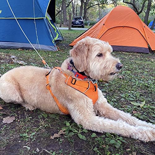 BV Dog Tie Out Cable 25 Feet - Image 7