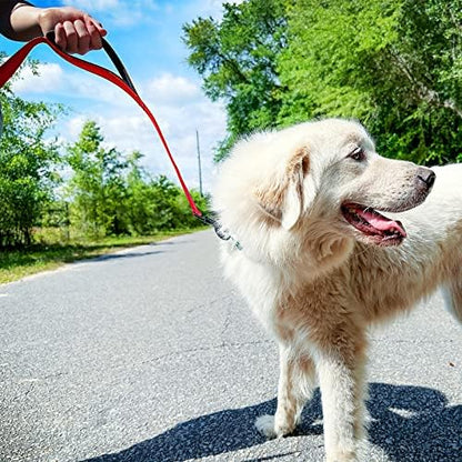 Joytale Dog Leash for Large Dogs that Pull, Double Handle - Image 4