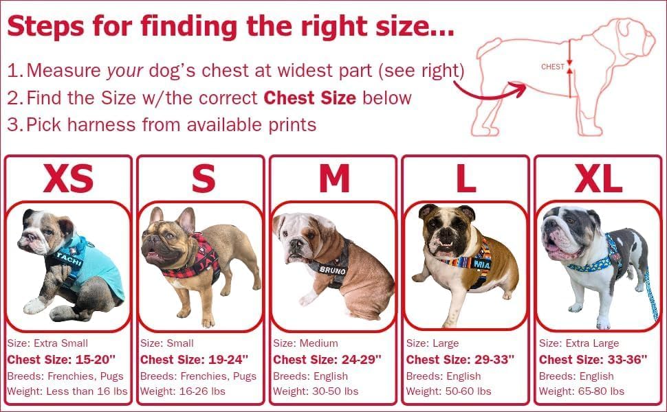 BULLHUG Adjustable Dog Harness– No Pull, No Choke – - Image 4