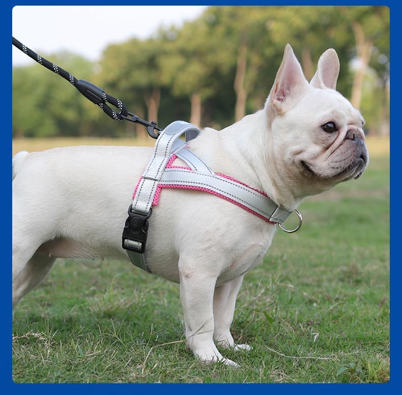 Dog Harness, No Pull Dog Harness, Adjustable Soft Harness - Image 2