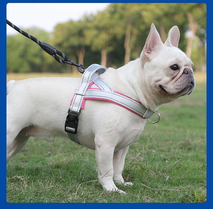 Dog Harness, No Pull Dog Harness, Adjustable Soft Harness - Image 2