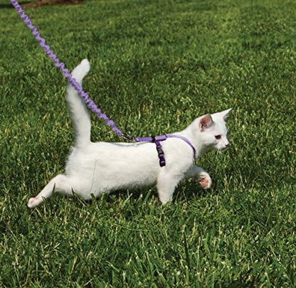 PetSafe Come With Me Kitty Harness and Bungee Leash, Harness - Image 2