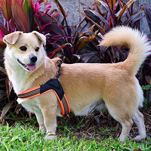 Dog Harness No Pull Ultra Soft Breathable Padded Pet Harness 2 Adjustable Botton - Image 6
