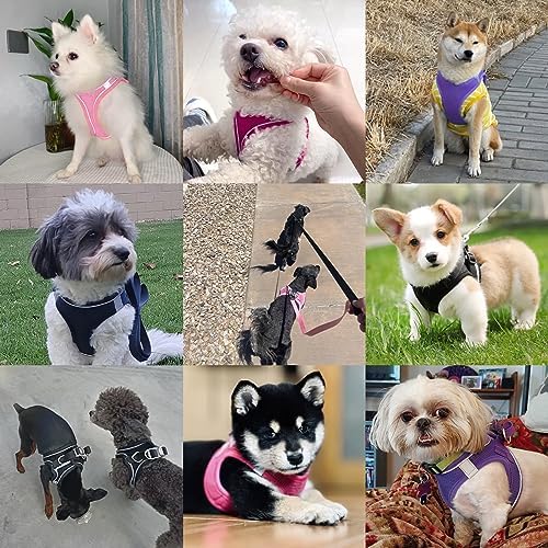 Dog Harness with Leash Set, No-Pull Step-in Reflective Pet Harness with 1 Leash - Image 6